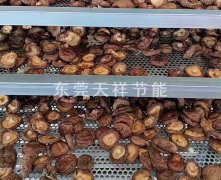 空氣源熱泵香菇烘干工藝